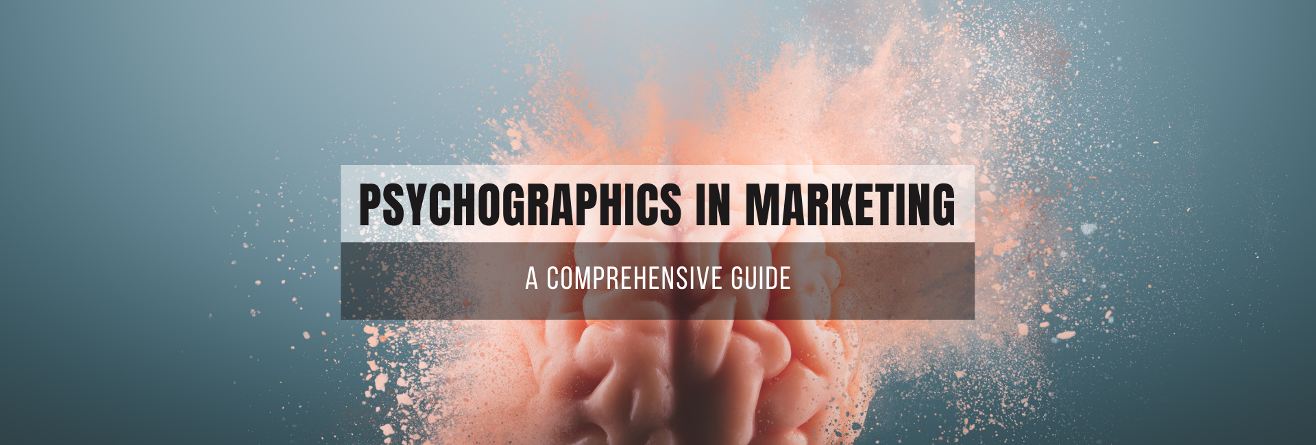 Psychographics in Marketing: A Comprehensive Guide